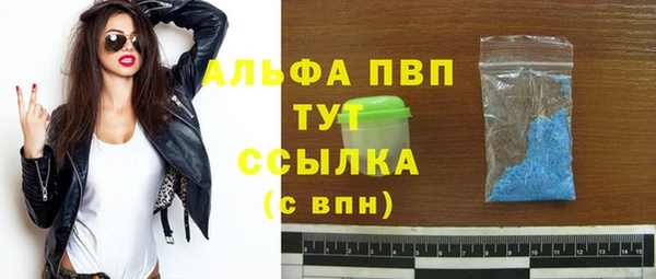 индика Алексин