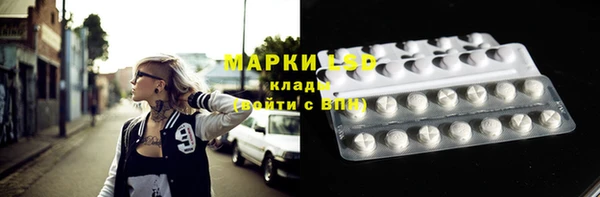 индика Алексин