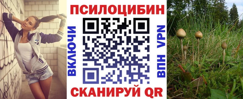 Псилоцибиновые грибы Psilocybine cubensis  KRAKEN ONION  Остров 